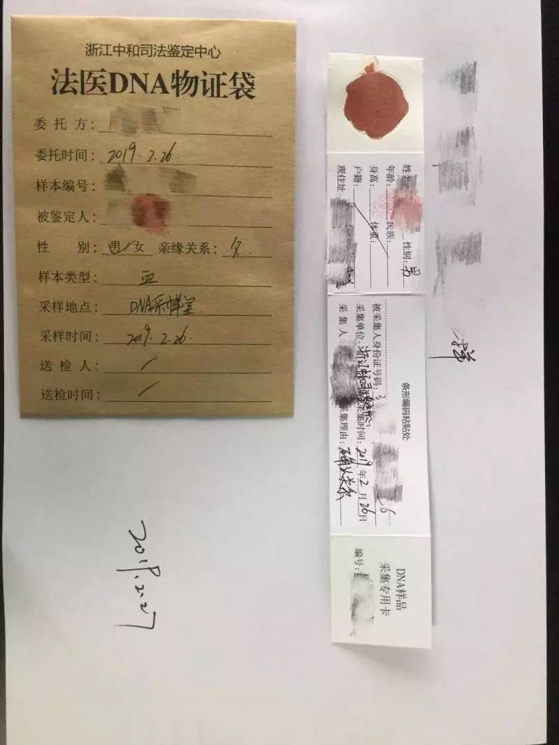 抱來的孩子養了兩年為了辦收養去做親子鑑定結果卻讓妻子傻眼了